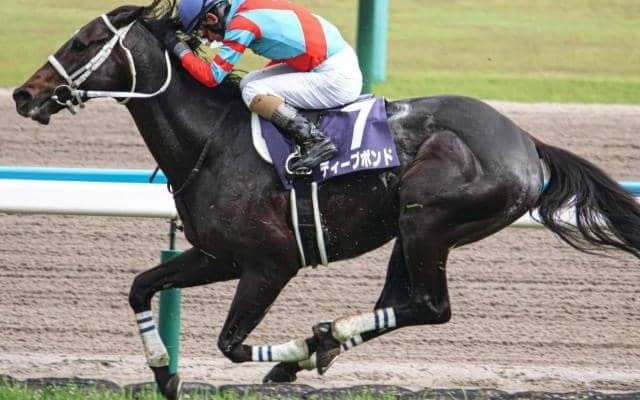 GIの3年連続2着はディープボンドのほかにも… 懐かしの“シルバーコレクター”たちとは