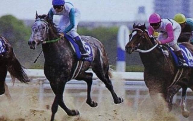 3番人気が単勝18.2倍の2強対決 トウカイテイオーが初黒星を喫した天皇賞(春)