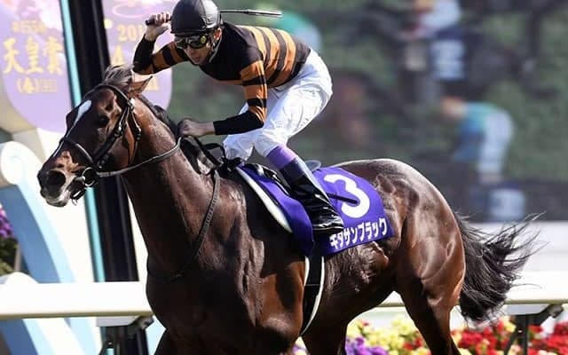 天皇賞(春)の8勝に対し1勝のみGIは3レース 武豊騎手のレース別GI勝利数を比較してみた