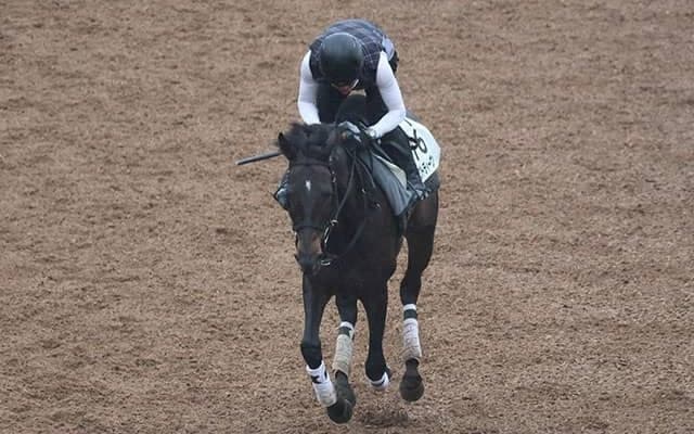 マスクトディーヴァなど、先週の入厩情報/栗東トレセンニュース