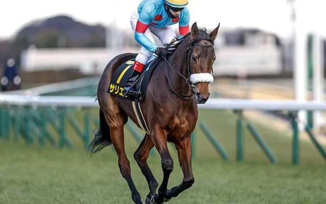 武豊騎手がキタサンブラック以来の春の盾奪取へ 良血牝馬と9勝目狙う