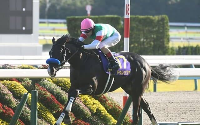 【天皇賞(春)予想オッズ】ドゥレッツァが予想1番人気