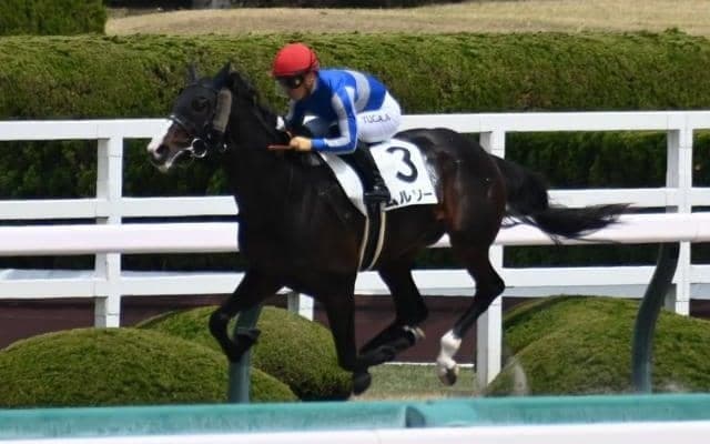 【ユニコーンS予想オッズ】ムルソーが予想1番人気