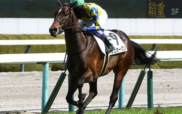 【青葉賞予想オッズ】シュガークンが予想1番人気