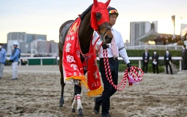 快挙達成なら3億円！ 羽田盃から始まるダート三冠路線とは？