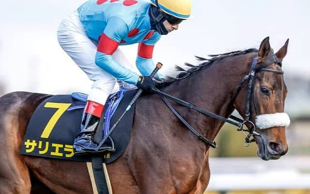 71年ぶり2頭目の牝馬戴冠へ 天皇賞(春)に良血ディープ産駒が挑む