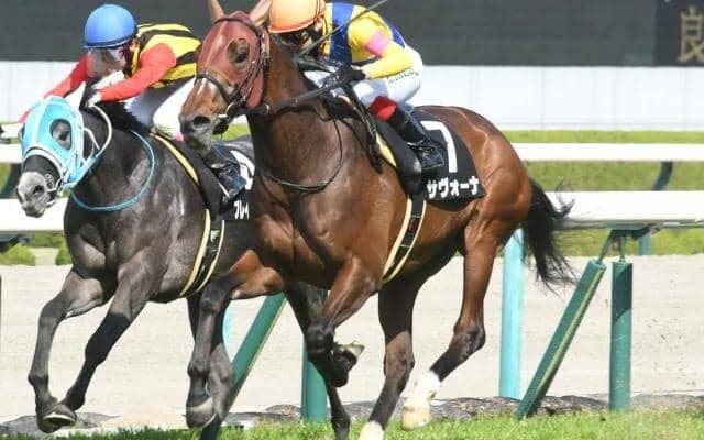 【天皇賞(春)予想】前走で見限るのはまだ早い？ マイナス要素ありながらもAIに評価された穴馬とは