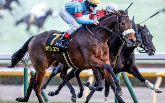 【天皇賞(春)展望】好走条件揃う牝馬のサリエラを狙いたい