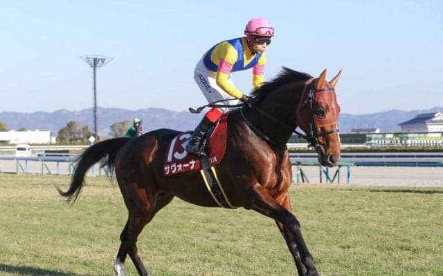 天皇賞・春は今年好調なキズナ産駒は外せない 好走実績豊富なハーツクライ産駒にも注目