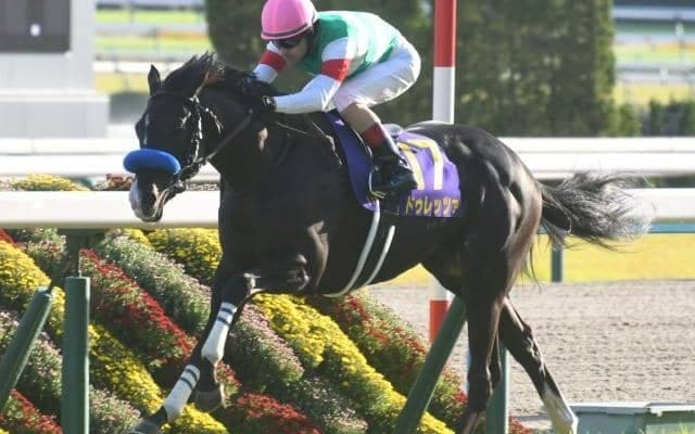 【天皇賞(春)枠順確定】ドゥレッツァは6枠12番、テーオーロイヤルは7枠14番