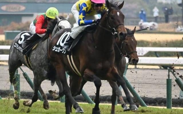 【青葉賞出走馬・騎手確定】シュガークン＆武豊騎手、ウインマクシマム＆松岡正海騎手など17頭