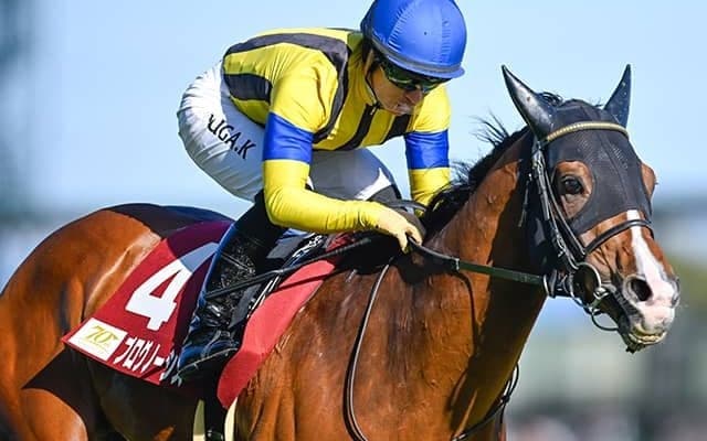 昨年2着のプログノーシス QEII世C三連覇中の地元強豪相手に“三度目の正直”へ