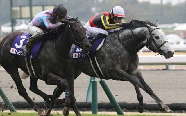 【チェアマンズスプリントプライズ】マッドクールは11番ゲートへ