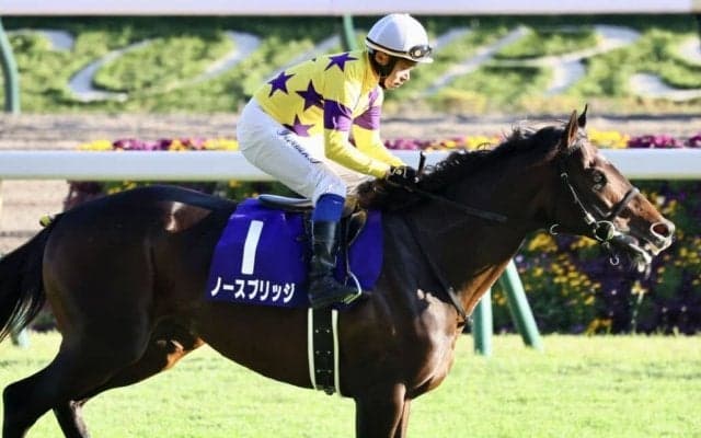 香港チャンピオンズデー 日本馬の近況…ノースブリッジ奥村武師「最高の枠が引けた」