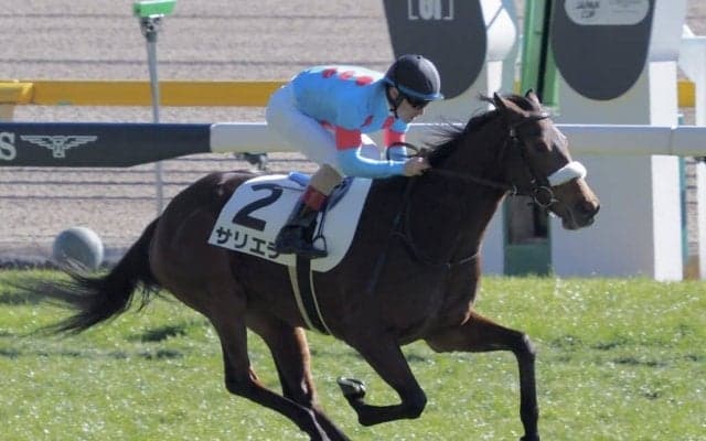 【天皇賞・春】武豊サリエラは最内枠…フルゲート18頭立て