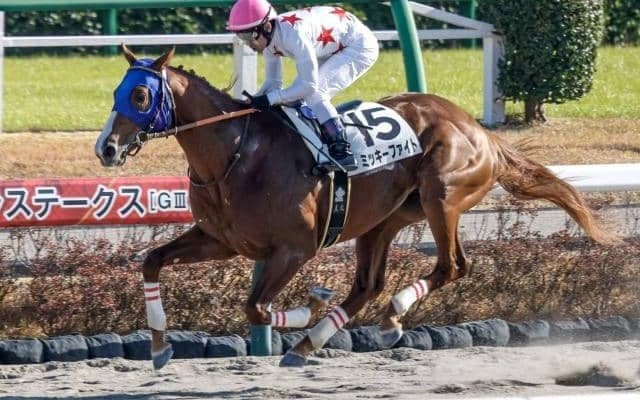 【ユニコーンS枠順確定】ミッキーファイトは2枠4番、ムルソーは6枠12番