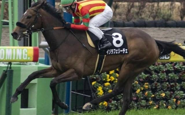 兄エフフォーリアの背中を追え スイートピーSで樫切符獲得を狙う