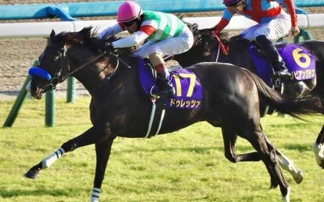 4歳馬の勝利が多い天皇賞(春) 前年の菊花賞馬の成績に意外な特徴あり!?