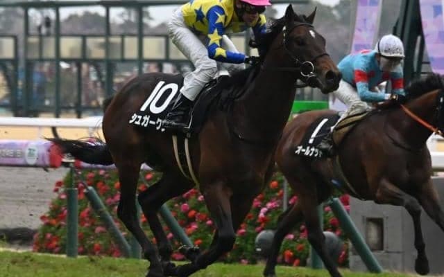 【今日の注目ポイント】東京で青葉賞と京都でユニコーンSの2重賞