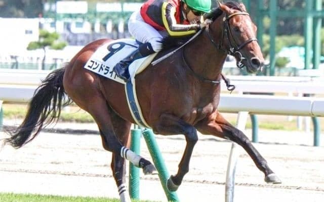名牝アエロリットの初仔 “マジックマン”とのコンビで未勝利脱出へ