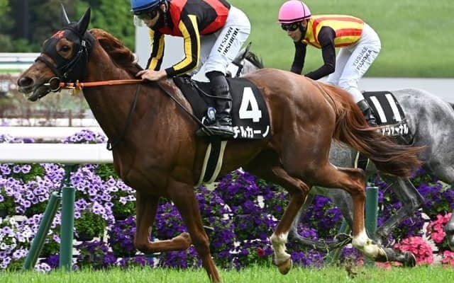 【矢車賞結果】チルカーノが人気に応えて差し切り勝ち