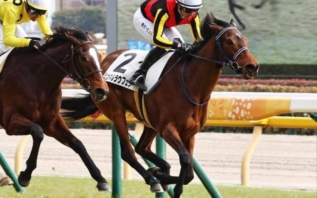 半兄はシュネルマイスター きょうだいGI制覇へオークスへの切符を連勝でつかめるか