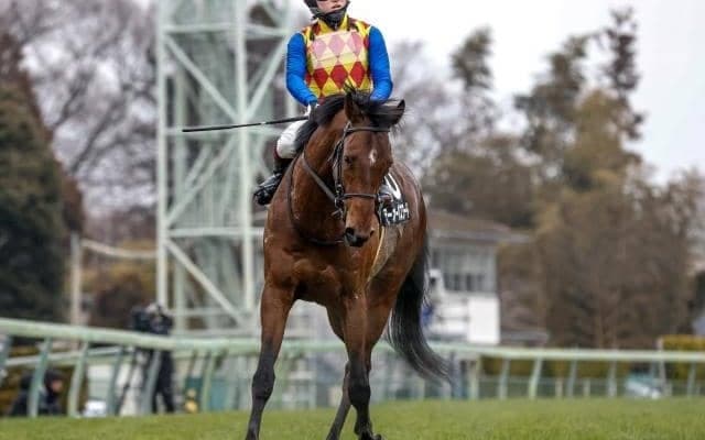 テーオーパスワード＆テーオーサンドニが米国に到着 陣営「日本での輸送競馬の時と比べてさほど変わりはない」