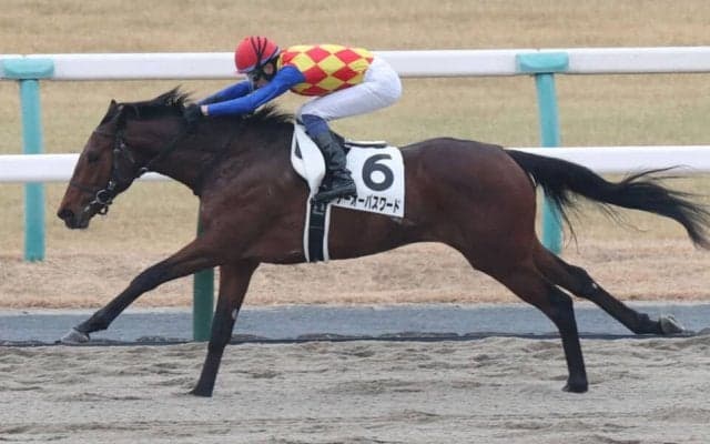 【ケンタッキーダービー】テーオーパスワードがチャーチルダウンズ競馬場に到着