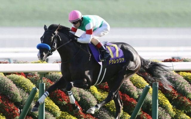 【天皇賞春／馬場情報】テーオーロイヤルよりドゥレッツァに向く「やや硬め」寄り　4歳“菊組”の巻き返しに警戒