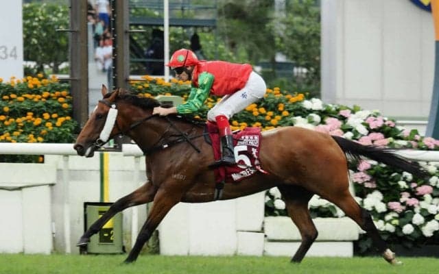 【チェアマンズスプリントプライズ】日本勢は大敗…インビンシブルセージが差し切る