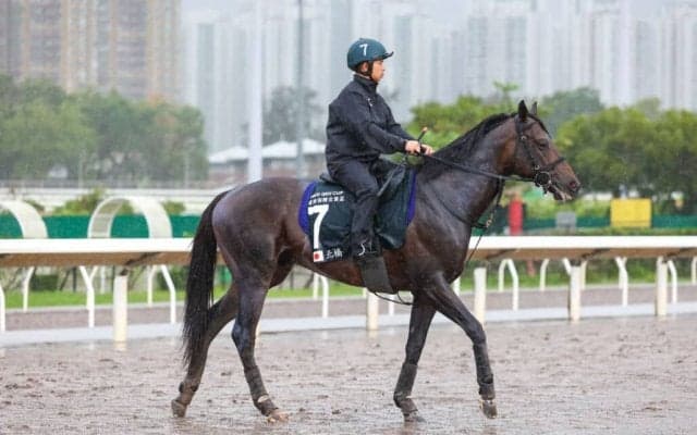 【QE2世C】奥村武師「外国の水が合っている」ノースブリッジは粘って3着