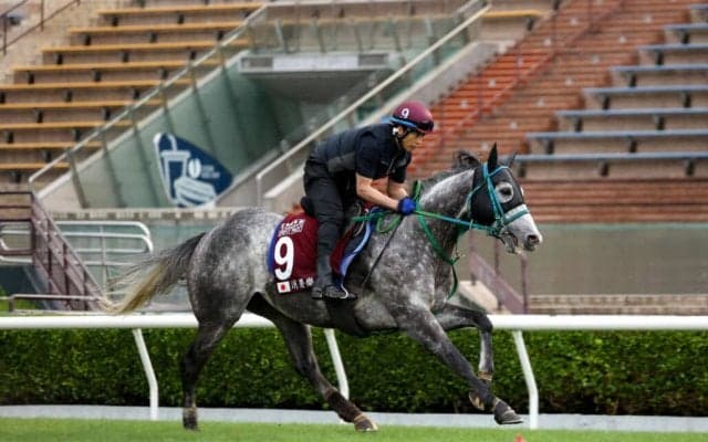 【チェアマンズスプリントプライズ】坂井瑠「この馬の走りが出来なかった」マッドクールは最下位敗退