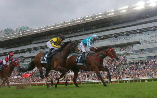 【QE2世C】中内田師「悔しいです」…プログノーシスは惜しい2着