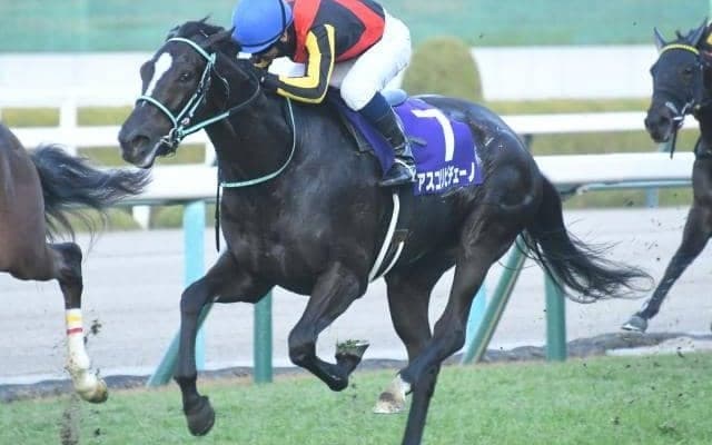 3歳マイル王決定戦・NHKマイルCなど3重賞/今週の競馬界の見どころ