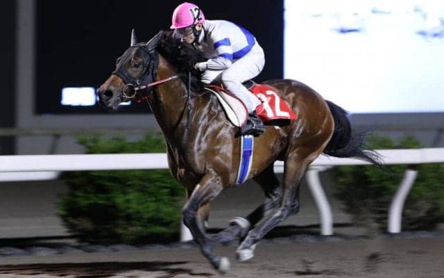 【高知・四万十川特別】ニクソンテソーロが6連勝…赤岡「馬の自信にもなる」