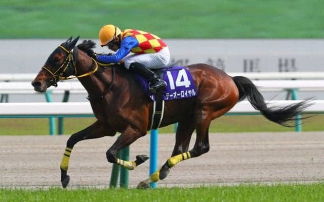 【天皇賞・春】「ロイ君ありがとう」優しく声をかける菱田騎手ジョッキーカメラ映像公開