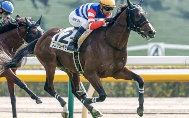 【京都新聞杯見どころ】スタミナ豊富なプレリュードシチーが最右翼