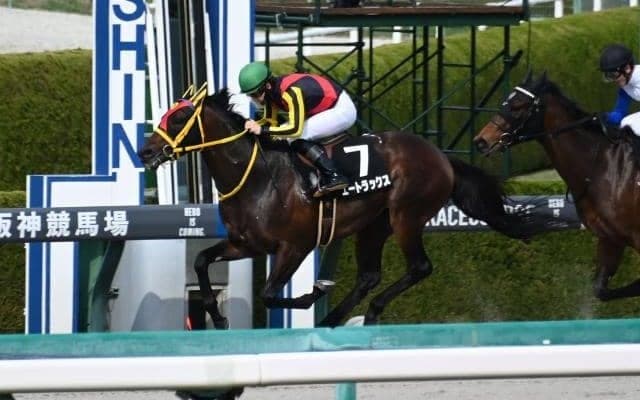 【園田・兵庫CS注目馬】今年から3歳短距離王決定戦にリニューアル 中央・地方から未来のスプリンターが集結