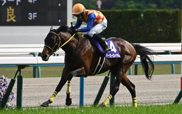 【天皇賞(春)】売上は209億1900万8200円で昨年より約17億円減少