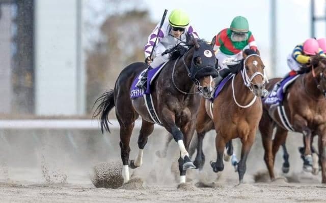 【船橋・かしわ記念枠順】フェブラリーS覇者ペプチドナイルは7枠10番、南関東三冠馬ミックファイアは5枠6番