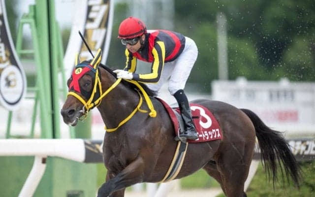 【兵庫チャンピオンシップ】モレイラ騎乗、エートラックスが逃げ切る…武豊イーグルノワールは4着敗退