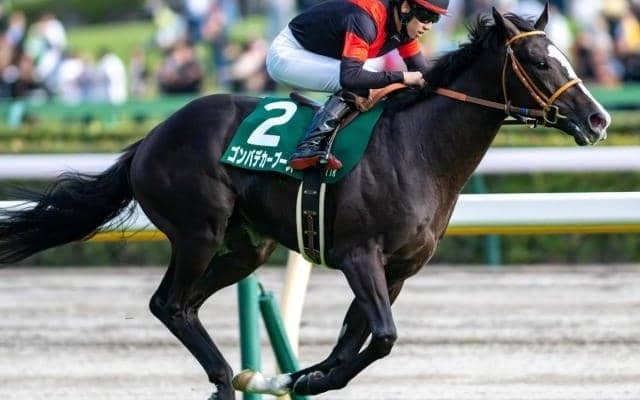 名門と“マジックマン”の黄金タッグ レース史上最長ブランク勝利なるか