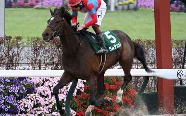 孫世代から重賞ウィナーが誕生した名牝“ラヴェリータ” 牝系としての将来性は？