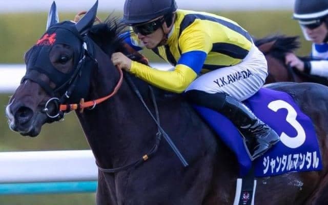 意外にも史上初！阪神JFと朝日杯FSの覇者がNHKマイルCで直接対決