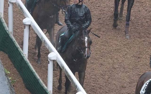 ビートマッチの2022(バズアップビート)など、先週の入厩情報/栗東トレセンニュース