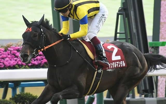 【NHKマイルC予想オッズ】ジャンタルマンタルが予想1番人気