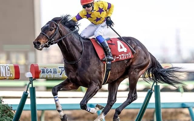 ノースブリッジがプリンスオブウェールズSに予備登録