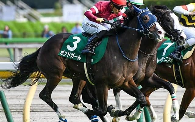 ウマ娘・藤田晋オーナーの愛馬がNHKマイルC参戦 JRA・GI初制覇なるか