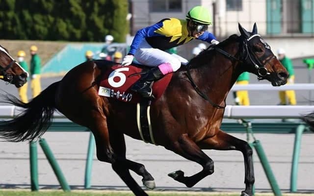 【新潟大賞典予想オッズ】ヨーホーレイクが予想1番人気
