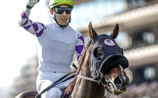 【船橋・かしわ記念注目馬】GI/JpnI馬5頭が顔を揃えた豪華決戦 春のダートマイル王に輝くのは